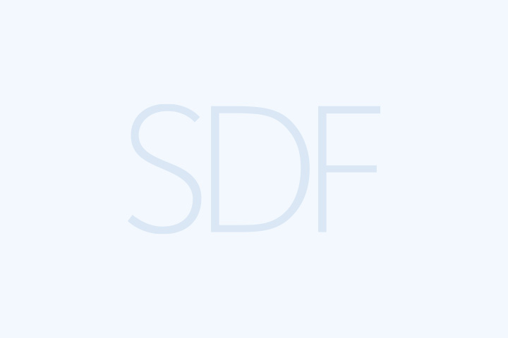 SDF Blog