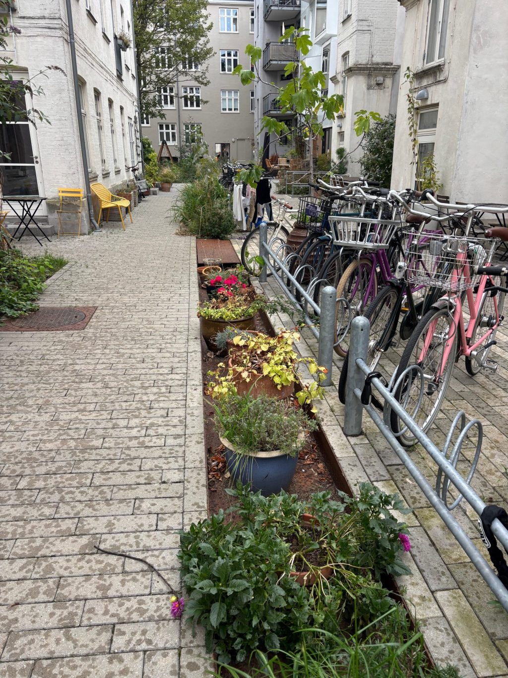 Climate Resilient Block 1