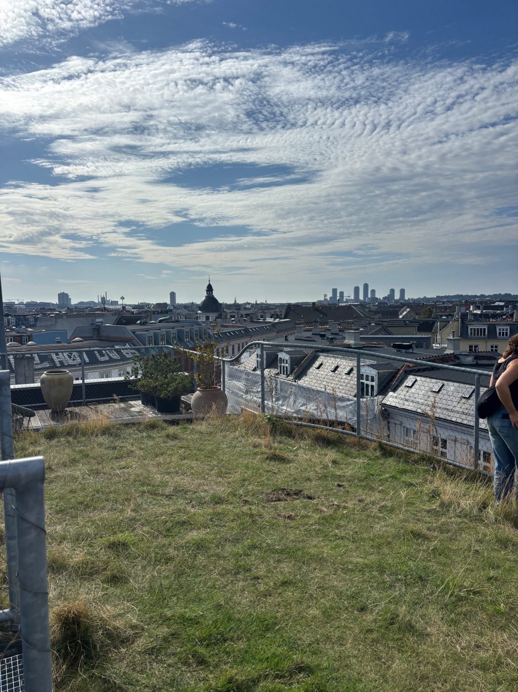 Rooftop 4