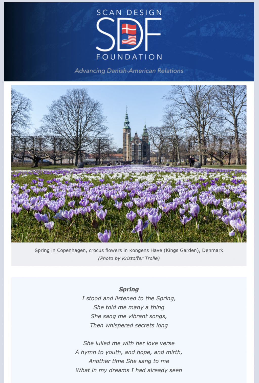 Screen Shot 2022 03 30 at 4 16 08 PM