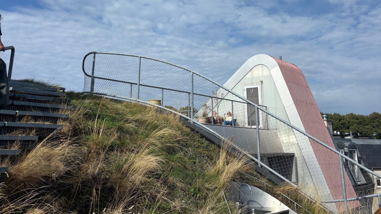 Rooftop 1