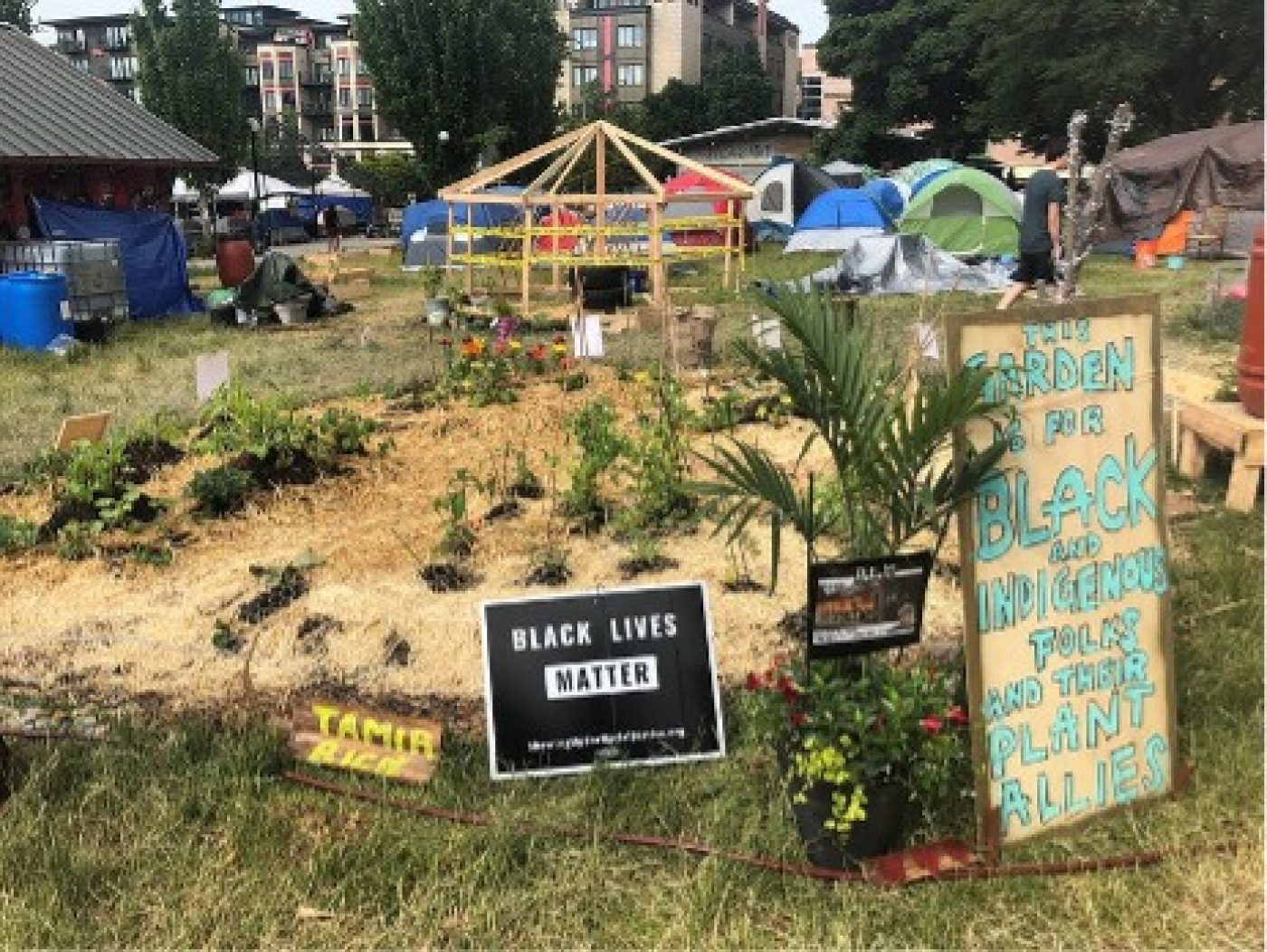 CHAZ Vegetable Garden, Image Credit: Benjamin Morawek/Flickr