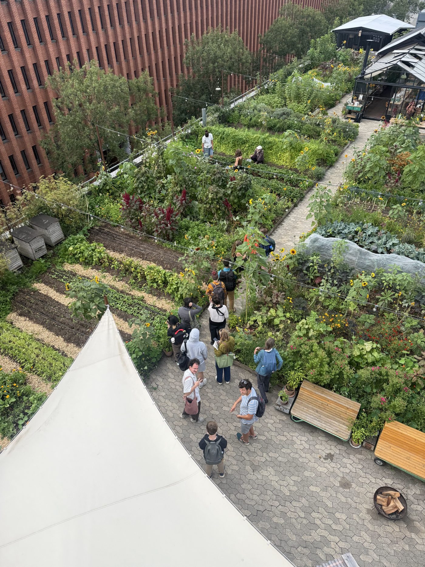 STUDY TOUR 10 credit daviengraham