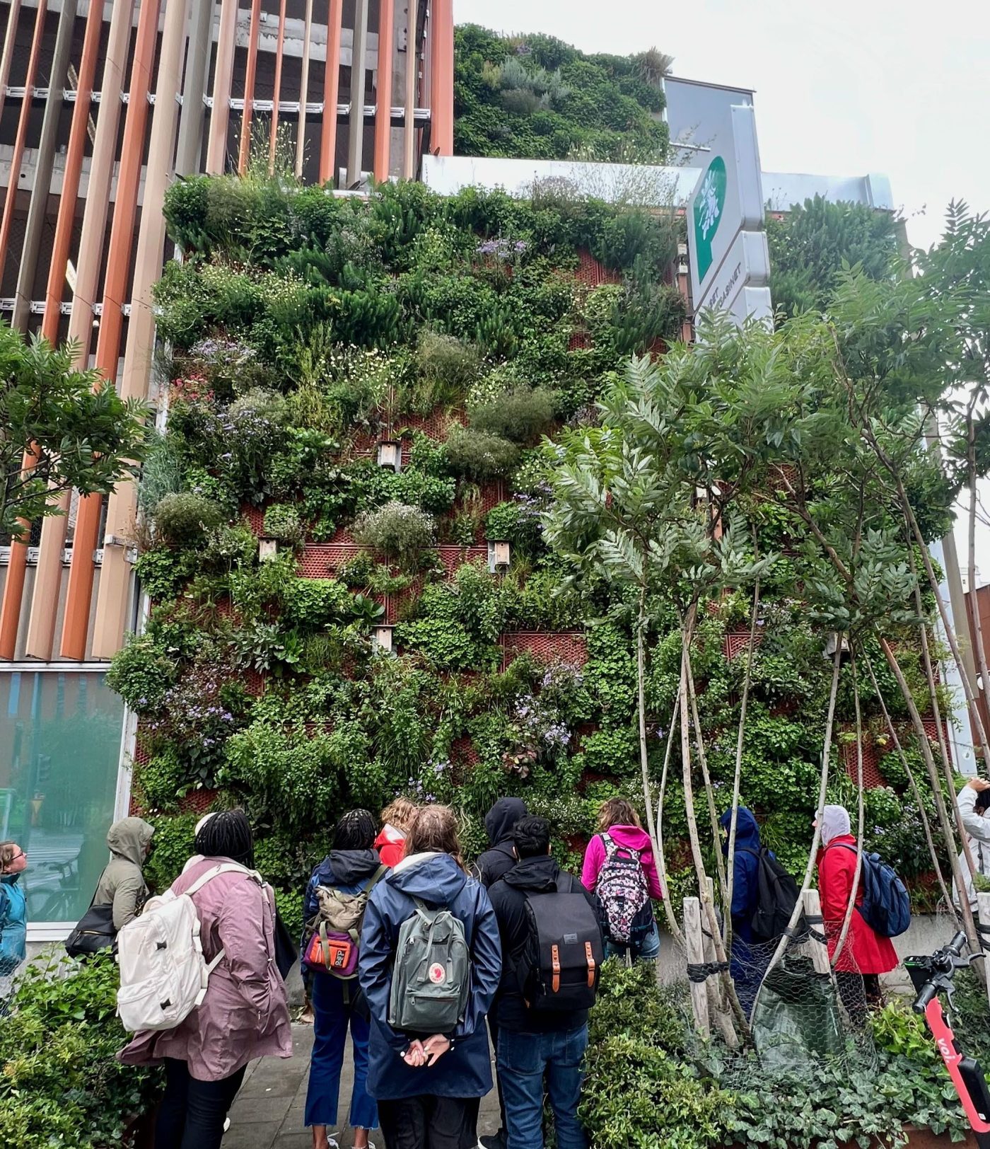 Green wall Malmojpg
