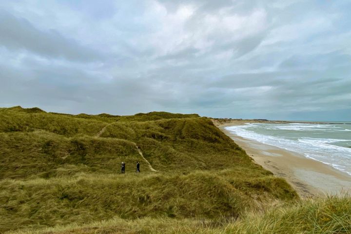 Image 8 Thy