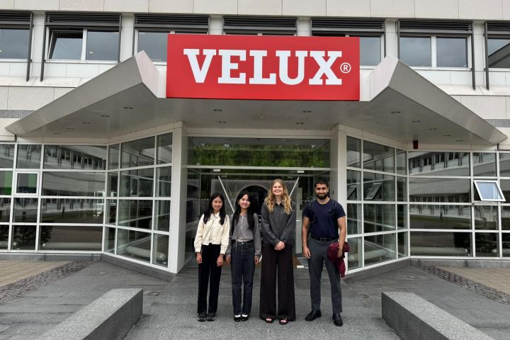 Sophia ware Velux