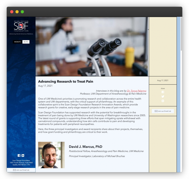 Blog pain research